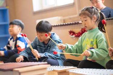 东北大连国际双语学校 | AP 学费 | 教学特色与学术优势 - 04 - visualTimeline WithTags